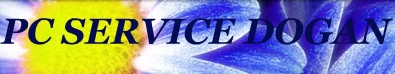 PC Service dogan